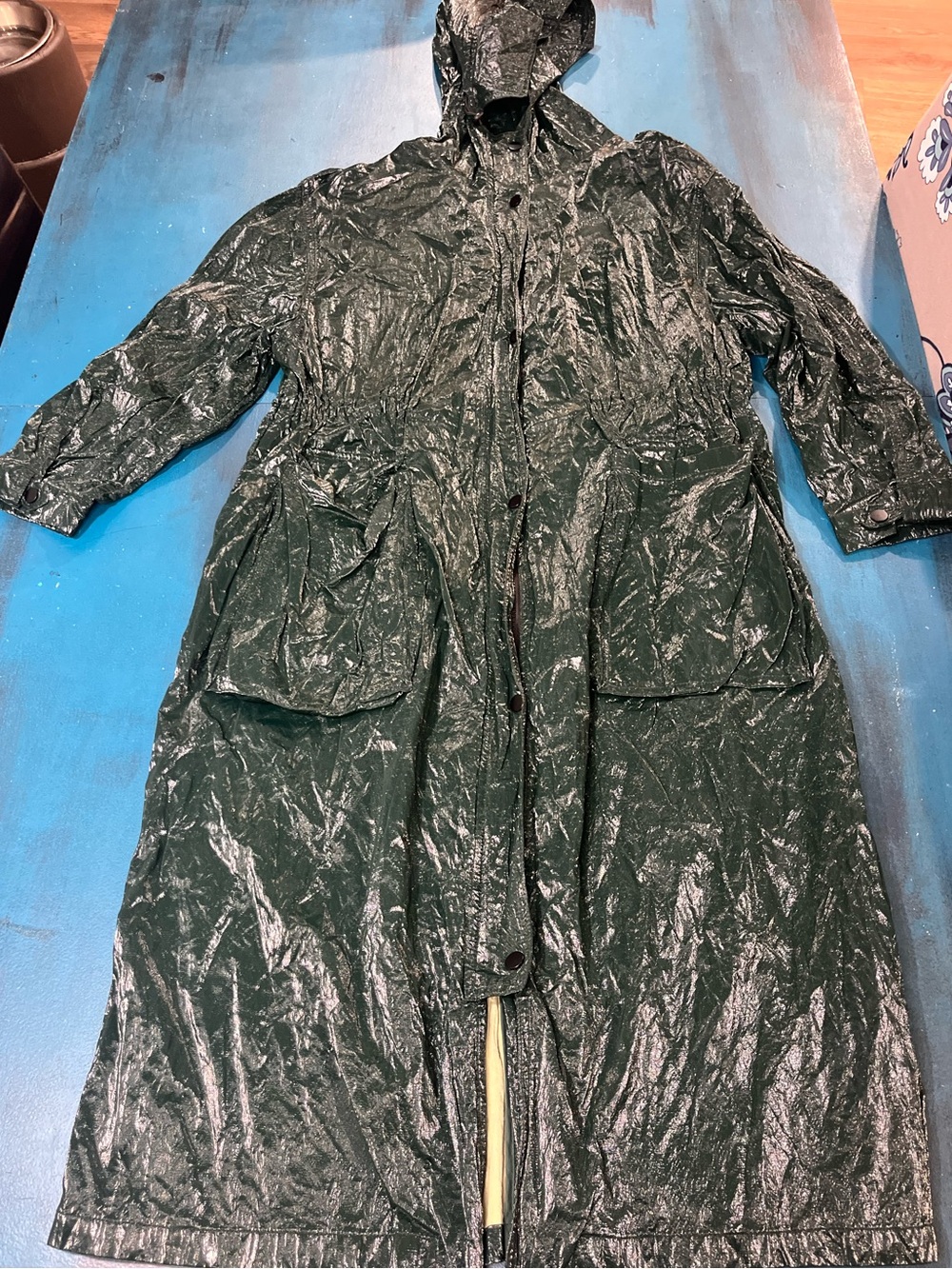 Zara Shimmer Dark Green Hooded Coat
